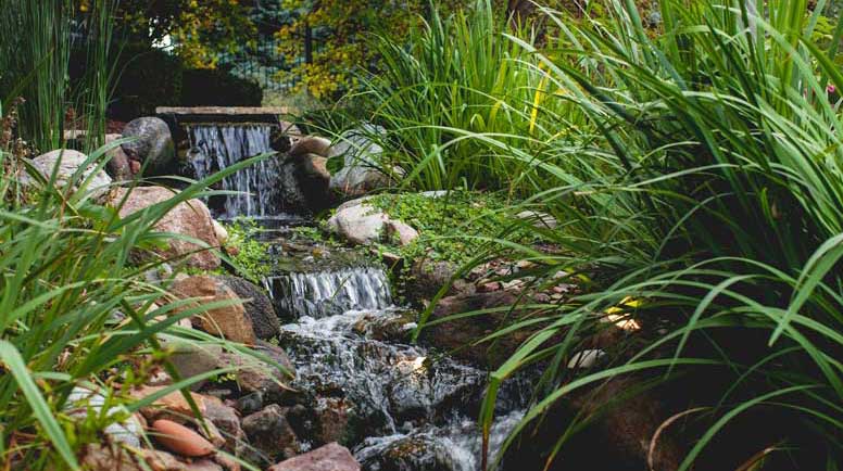 Frayand-water-feature-stream.jpg