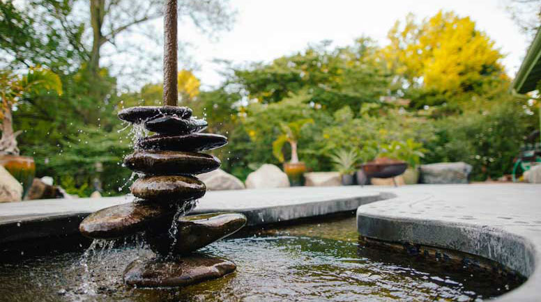 fryand-close-water-feature.jpg