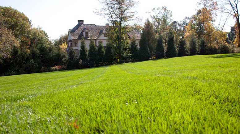 Photos-courtesy-of-Hoffman-Landscapes,-Inc.jpg