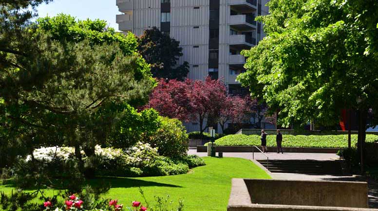 Photos-courtesy-of-Willamette-Landscape-Services.jpg