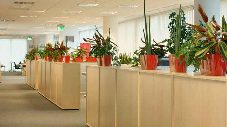 Office-000020234238_Large.jpg