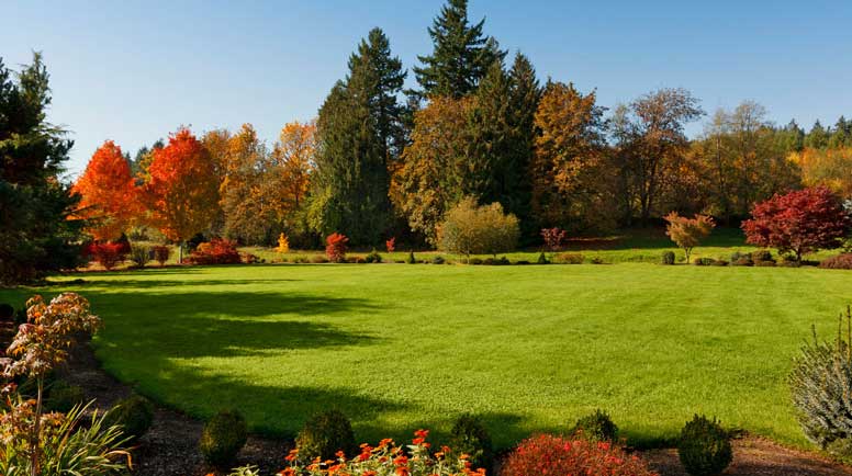 Expansive-Lawn-000040135426_Medium.jpg
