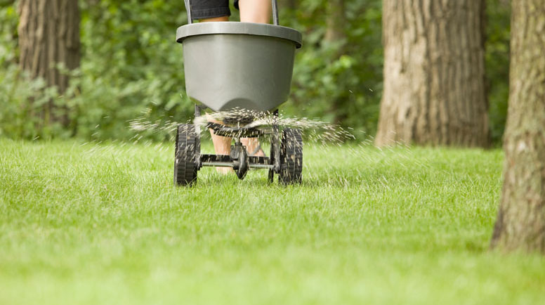 Fertilizer-Spreader-with-Pellets-Spraying-on-Grass-000018118066_Medium.jpg