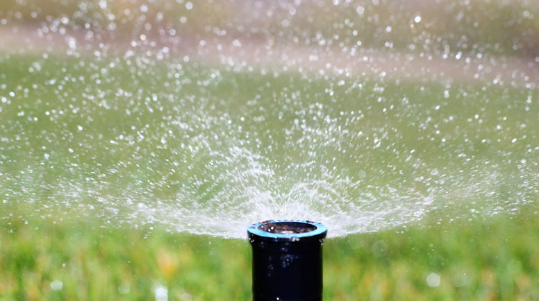 Sprinkler-000042679364_Large.jpg