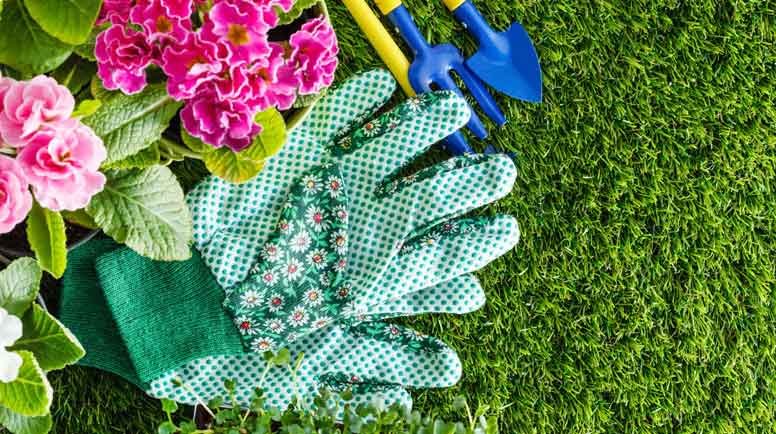 spring-flowers-000060274106_Large.jpg