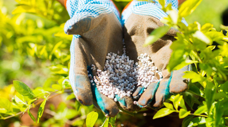 garden-fertilizer-000057112668_Large.jpg
