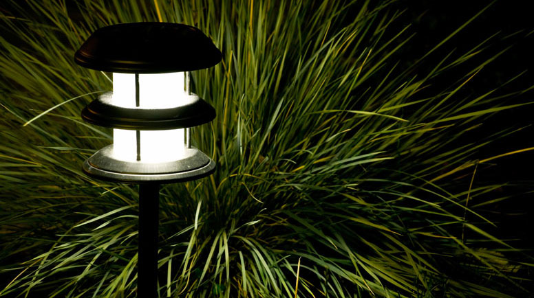 Garden-at-Night-000014004913_Large.jpg