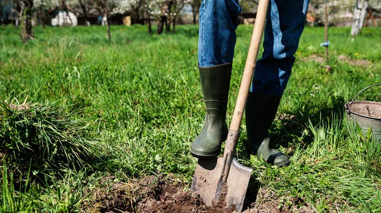 Man-digs-a-hole-000066866305_Large.jpg