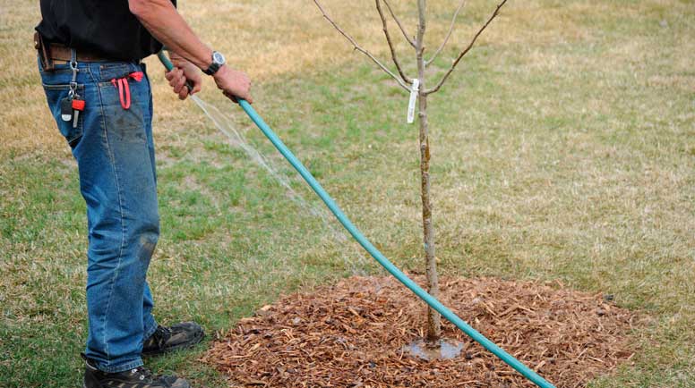 Professional-gardener-000019877331_Large.jpg