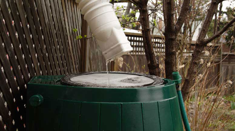 Rainbarrel-In-Action-000001595712_Large.jpg