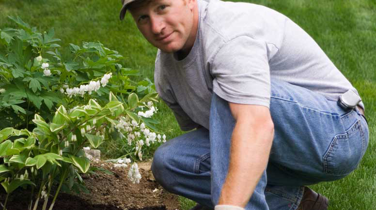 Landscaping-000001619357_Large.jpg