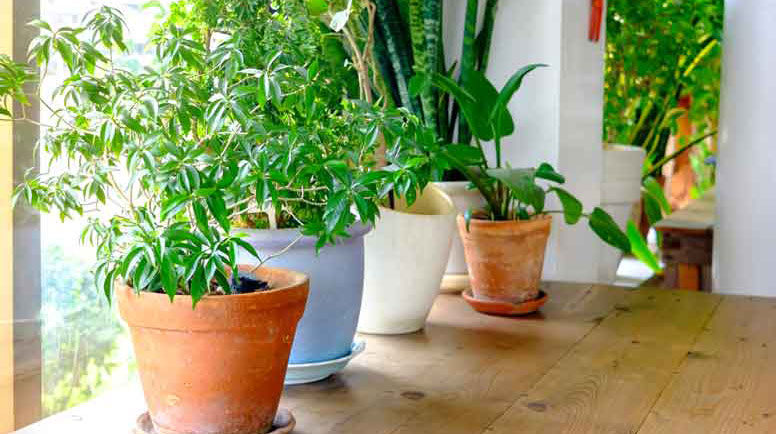 Indoor air quality