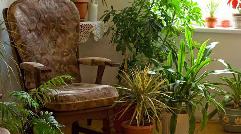 cozy corner at home