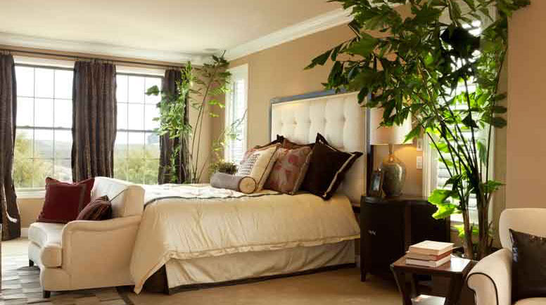 Plants reduce symptoms of stress and fatigue