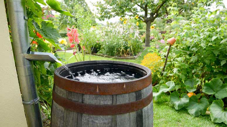 rain-barrel-000045018088_Large.jpg