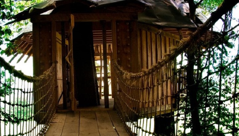 treehouse.jpg