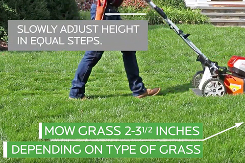 mowing-graphic.jpg