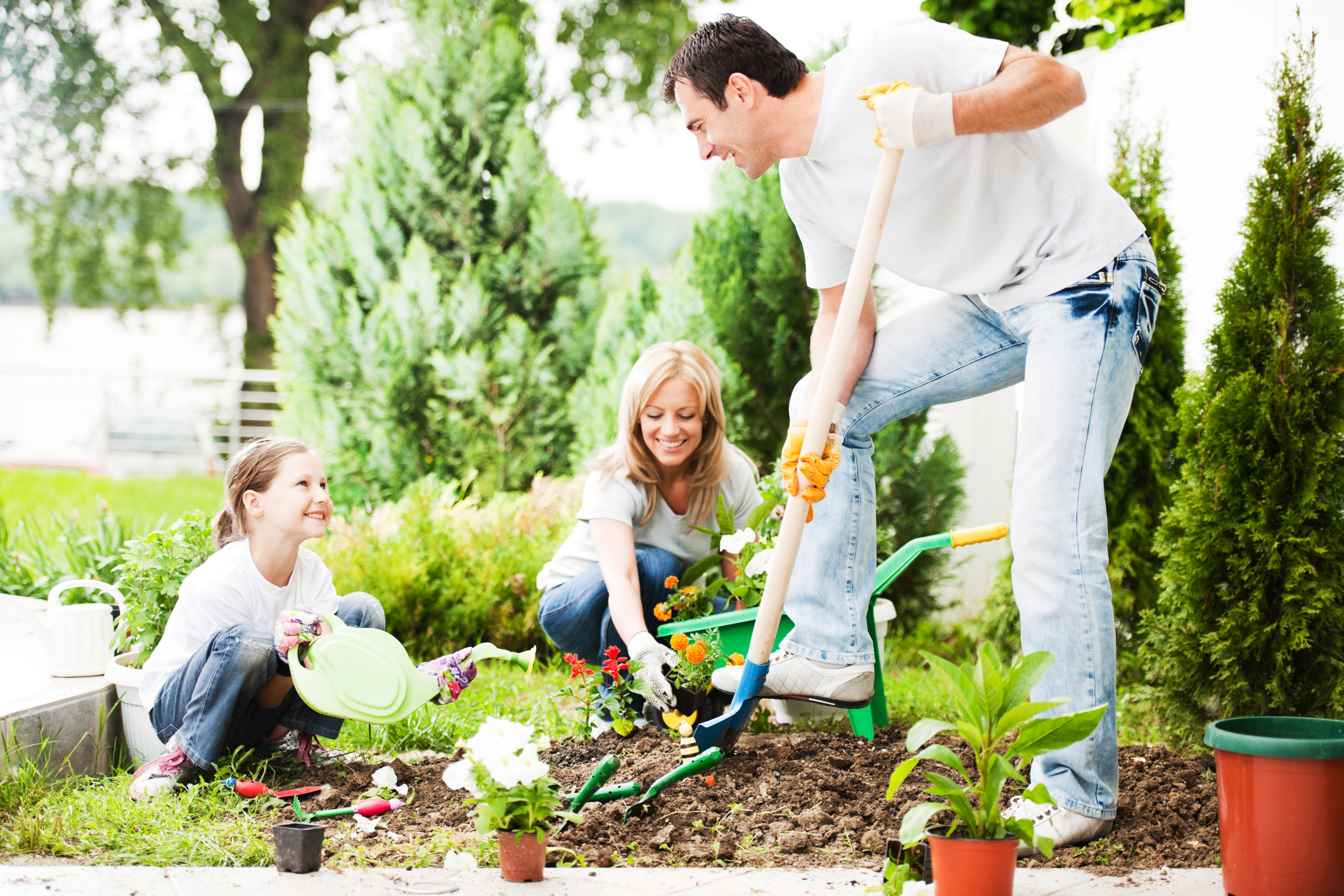 iStock-184364148.jpg