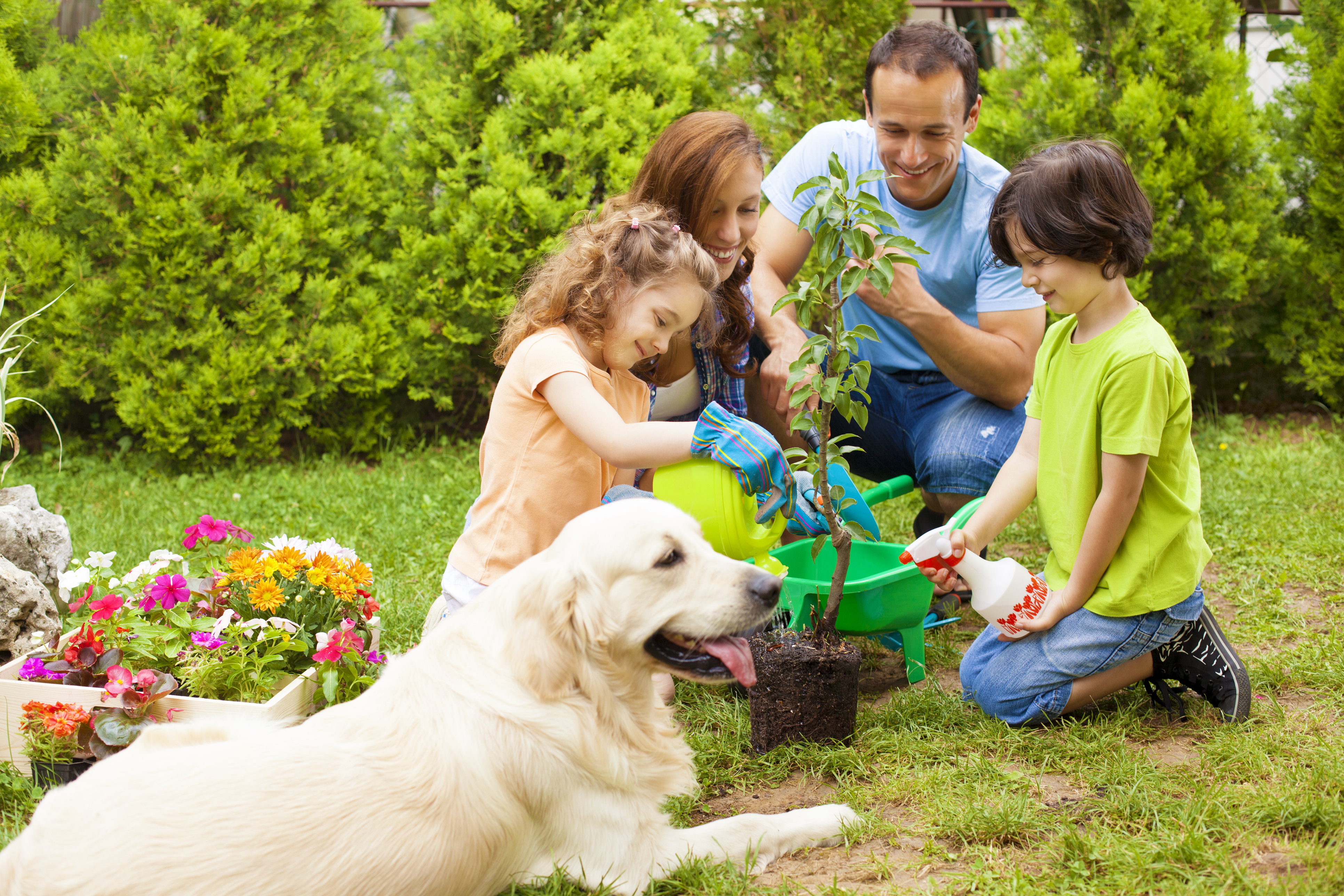 iStock-155600613.jpg (1)