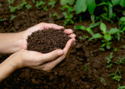 soil health.jpg