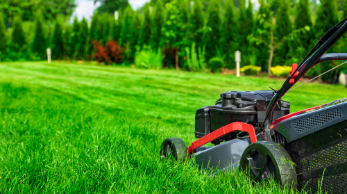 No Mow May. Not so fast!